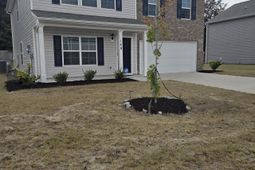 140 Carrington Drive photo 4