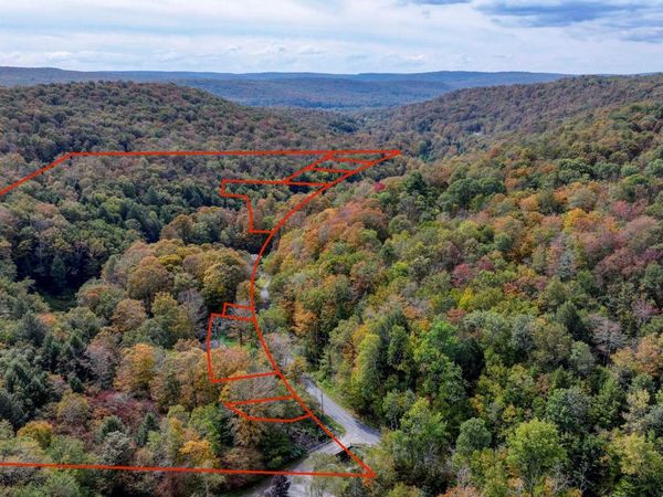 Grooville Road, Livingston Manor, NY 12758