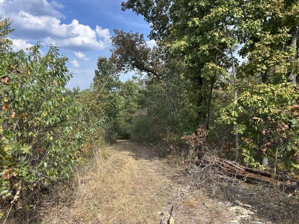 Hc 73 Box 4925 (Track 20), Drury, MO 65638