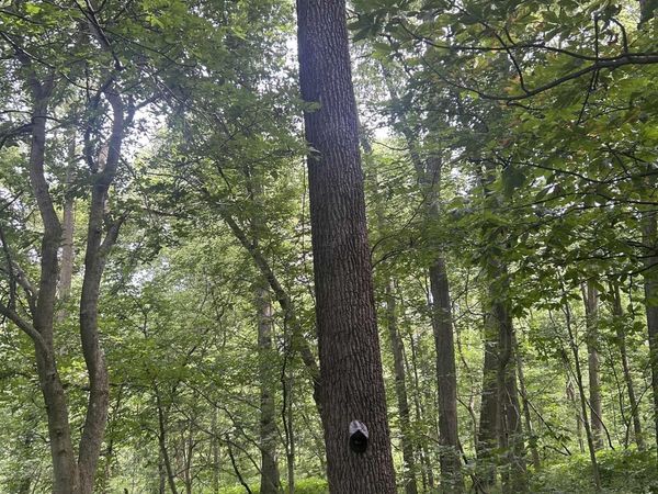 W 900 Highway, Franklin, IN 46131