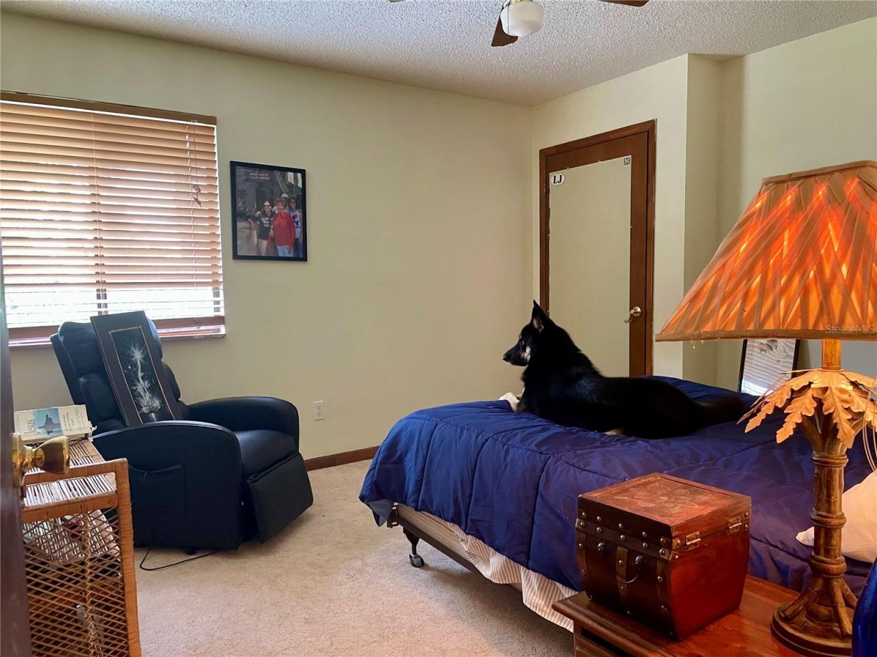 2615 Willow Oak Drive, Edgewater, FL 32141 Photo