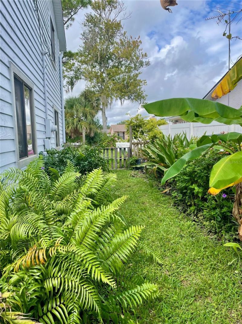 2615 Willow Oak Drive, Edgewater, FL 32141 Photo