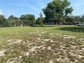 County Road 48, Yalaha, FL 34797 Photo