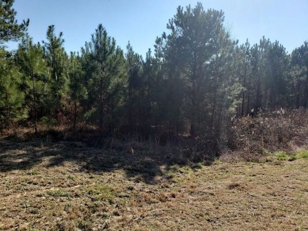 0 Stillwater Lane, Double Springs, AL 35553