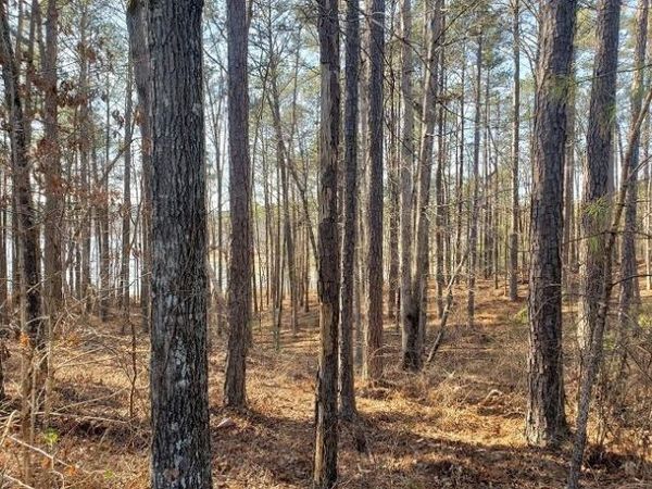 0 Stillwater Lane, Double Springs, AL 35553