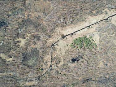 0100 Demode, Rose Twp, MI 48442