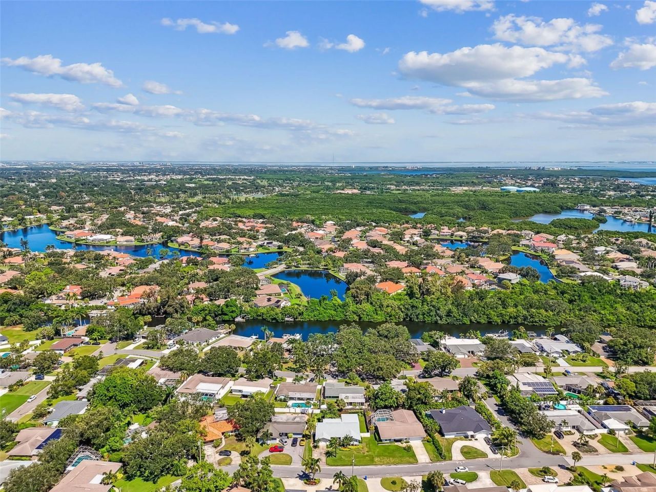 1045 44th Avenue Ne, Saint Petersburg, FL 33703 Photo