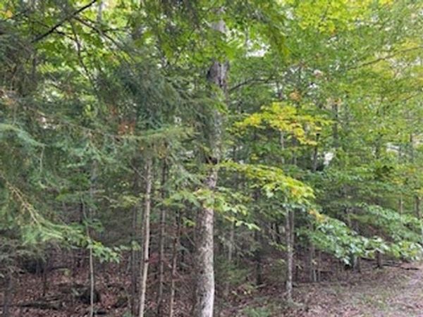 FAWN LANE, Ellison Bay, WI 54210