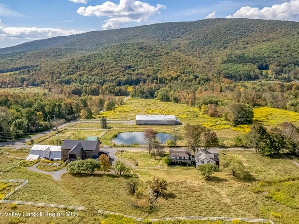 2080 Upper Meeker Hollow Road, Roxbury, NY 12474