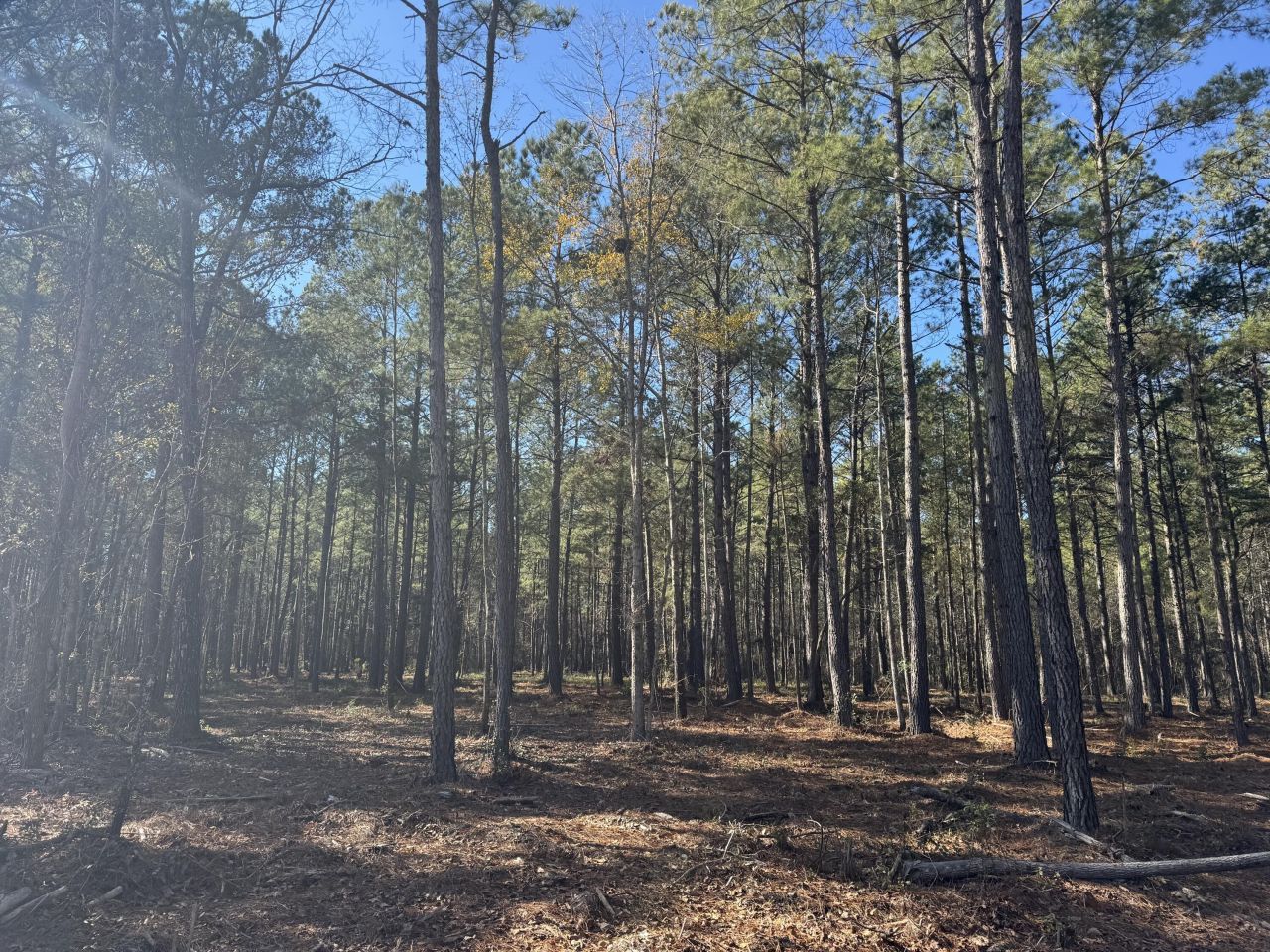 0 Brewer Road Photo 4