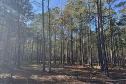 0 Brewer Road photo 4