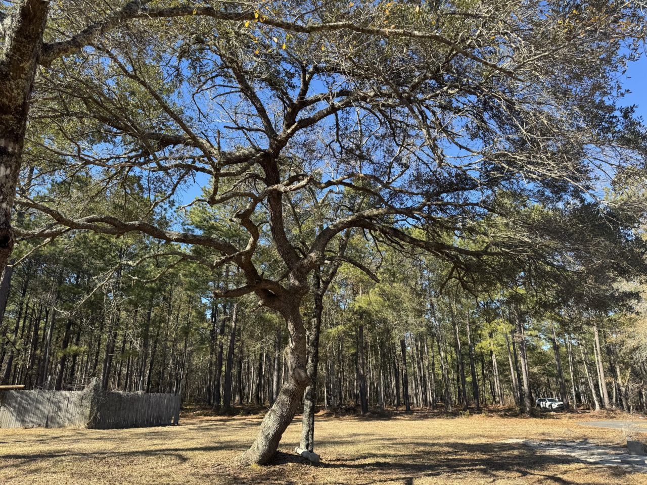 0 Brewer Road Photo 5