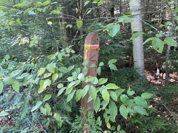 M06-Lot18 Sys Road, Lakeville, ME 04487