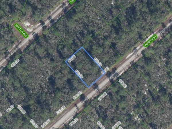 3535 VENETIA STREET, LAKE PLACID, FL 33852