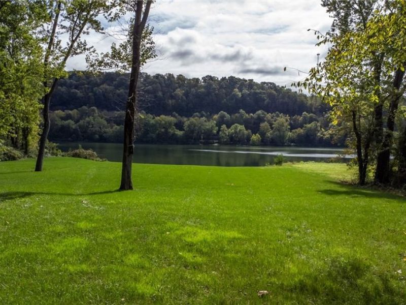 Z Hill Road, Sardis, OH 43946 Photo 3