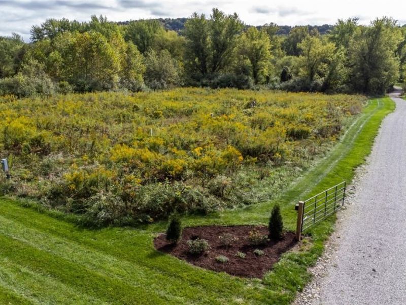 Z Hill Road, Sardis, OH 43946 Photo 8