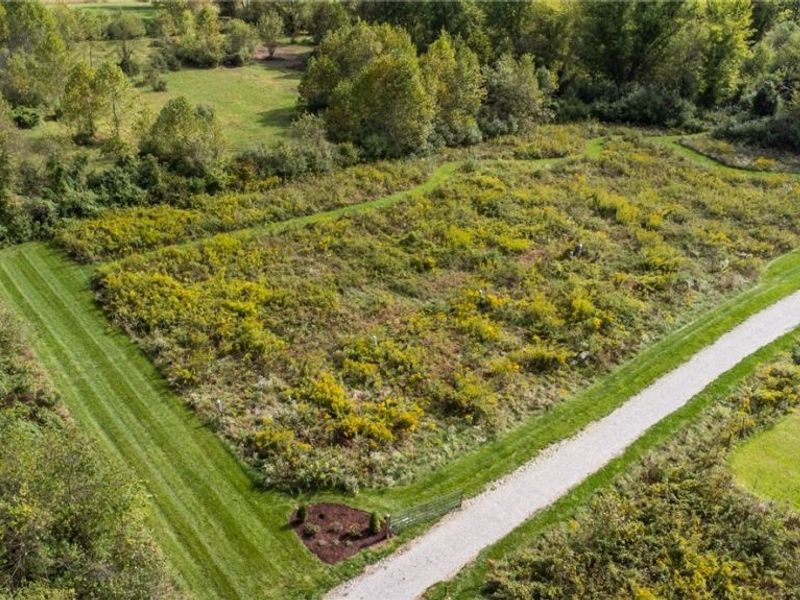 Z Hill Road, Sardis, OH 43946 Photo 9