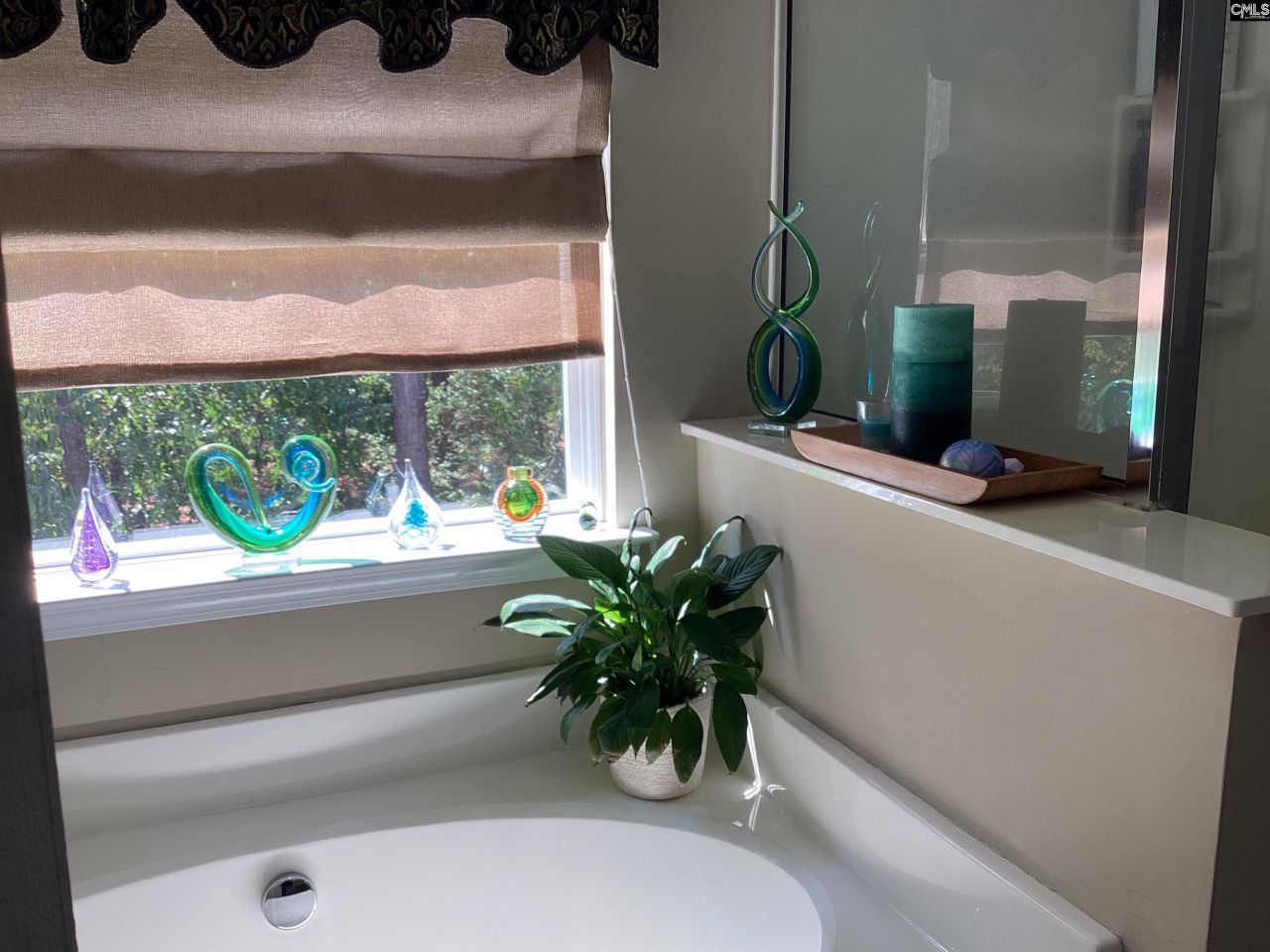 408 Indigo Ridge Drive Photo 19