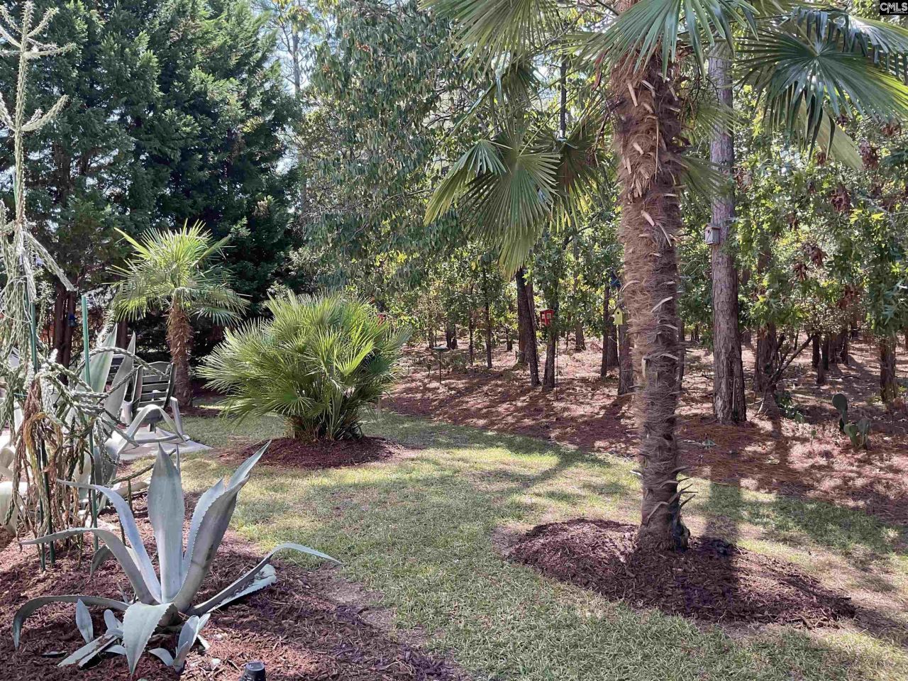 408 Indigo Ridge Drive Photo 30