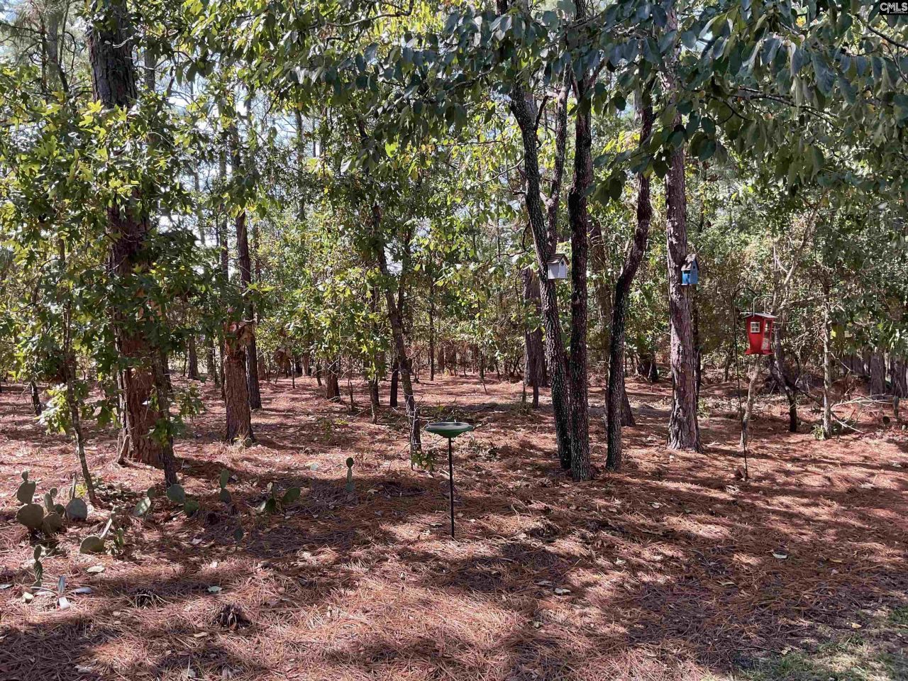 408 Indigo Ridge Drive Photo 32