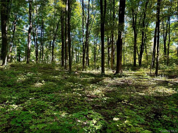 Freedom Road, Lagrangeville, NY 12569