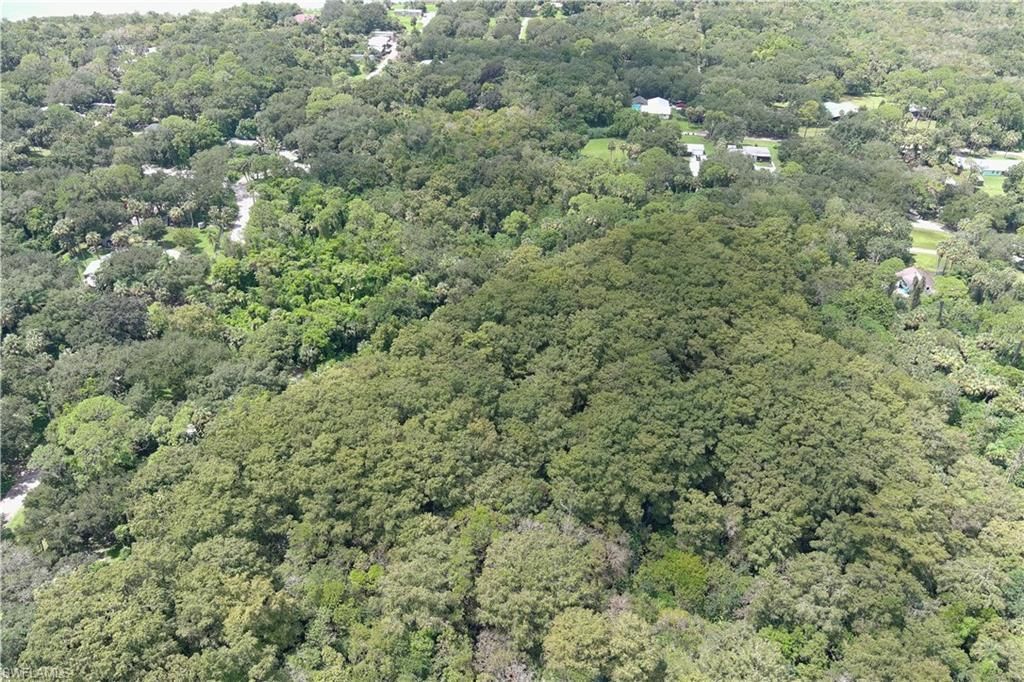 5106 Taylor Rd N, Immokalee, FL 34142 Photo