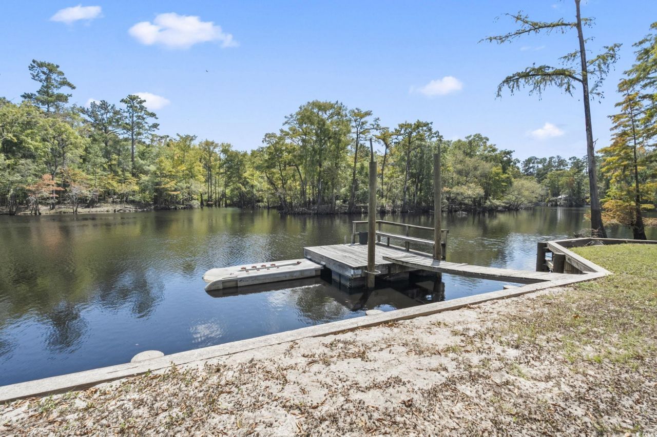 202 Cypress Knee Ct. Photo 25