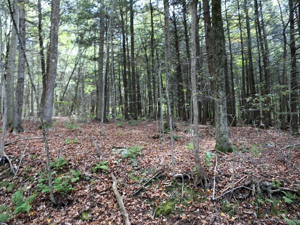 0 Rt-97, Long Eddy, NY 13783