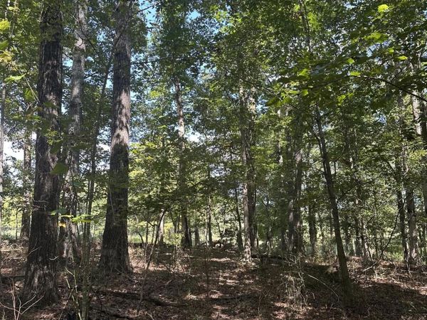 13 Hickory Hollow Sub Road, Tracy City, TN 37387