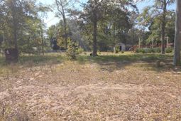 147 Podium Road photo 4