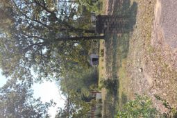 147 Podium Road photo 4