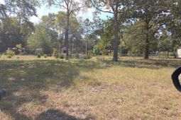 147 Podium Road photo 4