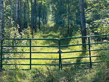 TBD W County Road 3, International Falls, MN 56669