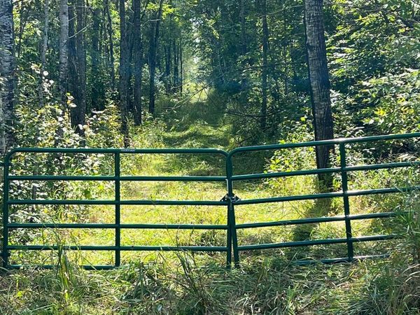 TBD W County Road 3, International Falls, MN 56669