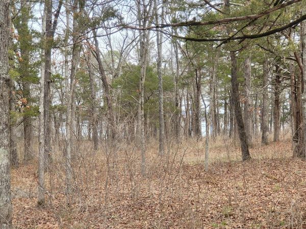 Lot 33 Eagles Point Lane , Shell Knob, MO 65747