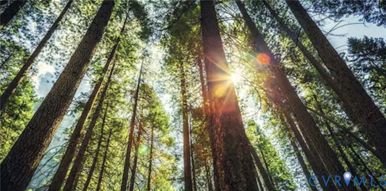 00 Miles, Powhatan, VA 23139 Main Photo