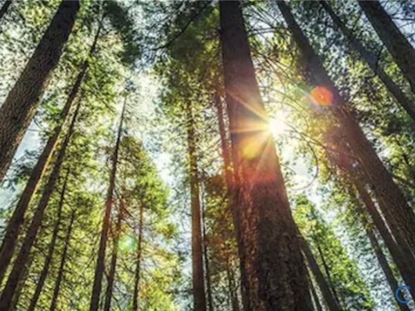 00 Miles, Powhatan, VA 23139