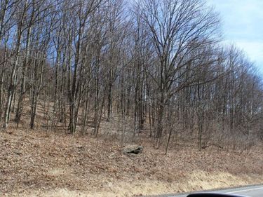 0 County Highway 26, Downsville, NY 13782