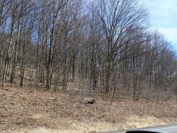 0 County Highway 26, Downsville, NY 13782