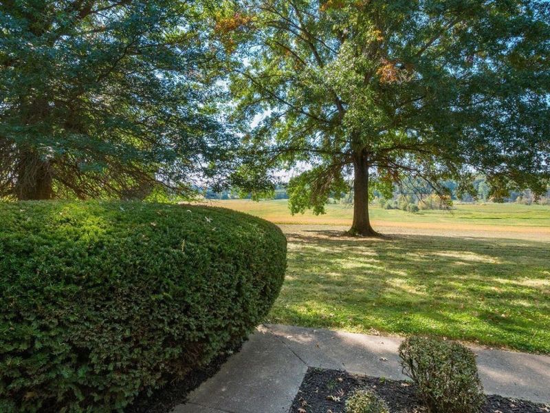 4321 Creamery Road, Nashport, OH 43830 Photo 52