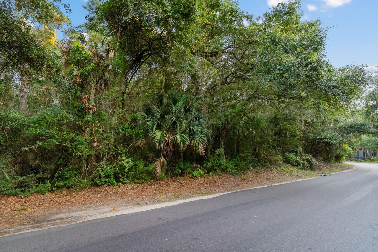 2581 High Hammock Road Photo 6