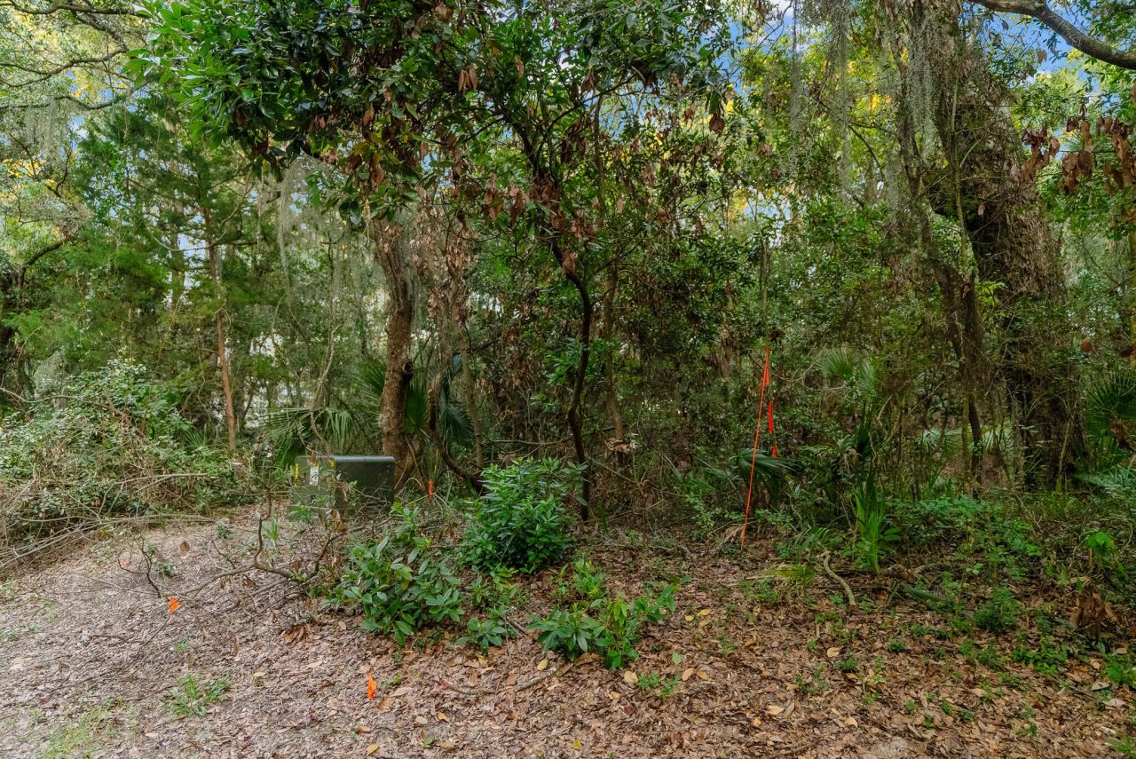 2581 High Hammock Road Photo 7