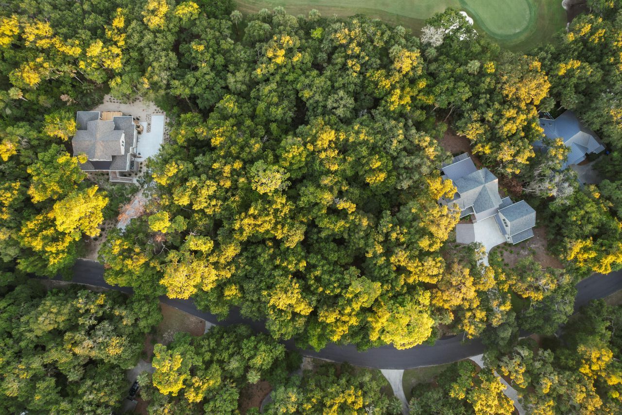 2581 High Hammock Road Photo 8