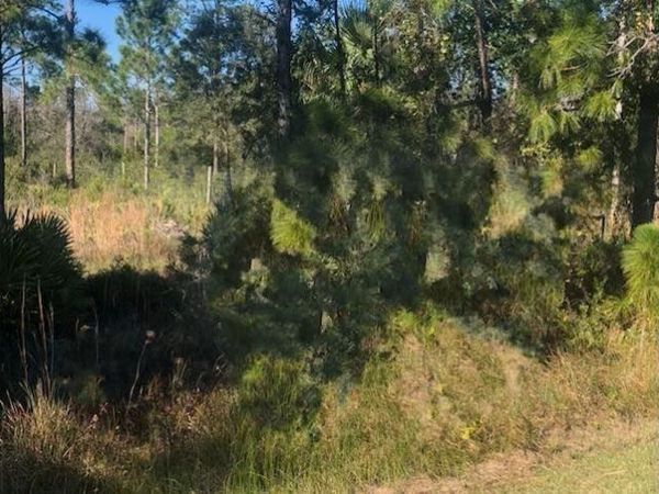 0 Kenansville, Okeechobee, FL 34739