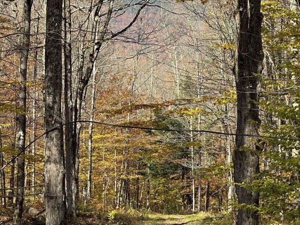 1928 VT. Rte. 131, Weathersfield, VT 05030