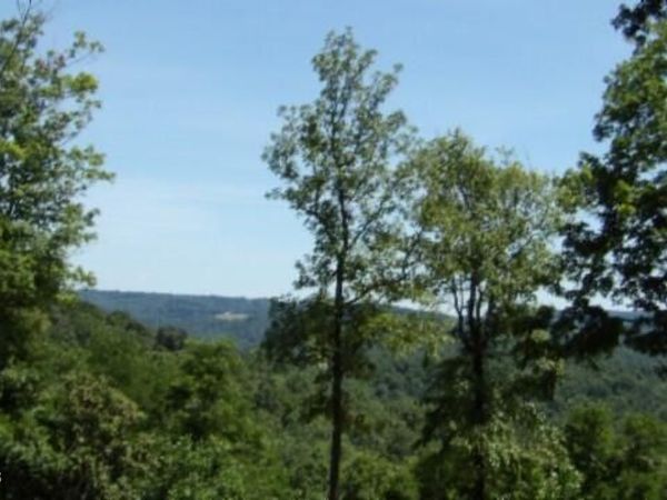 Lot 7E Rock Fish Lane, Hilham, TN 38568