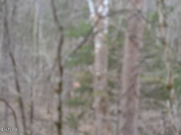 Lot 7E Rock Fish Lane, Hilham, TN 38568