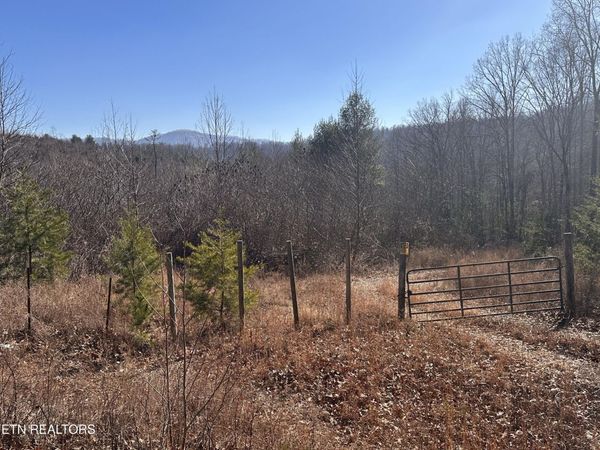 16245 Mill Creek Rd, Sunbright, TN 37872