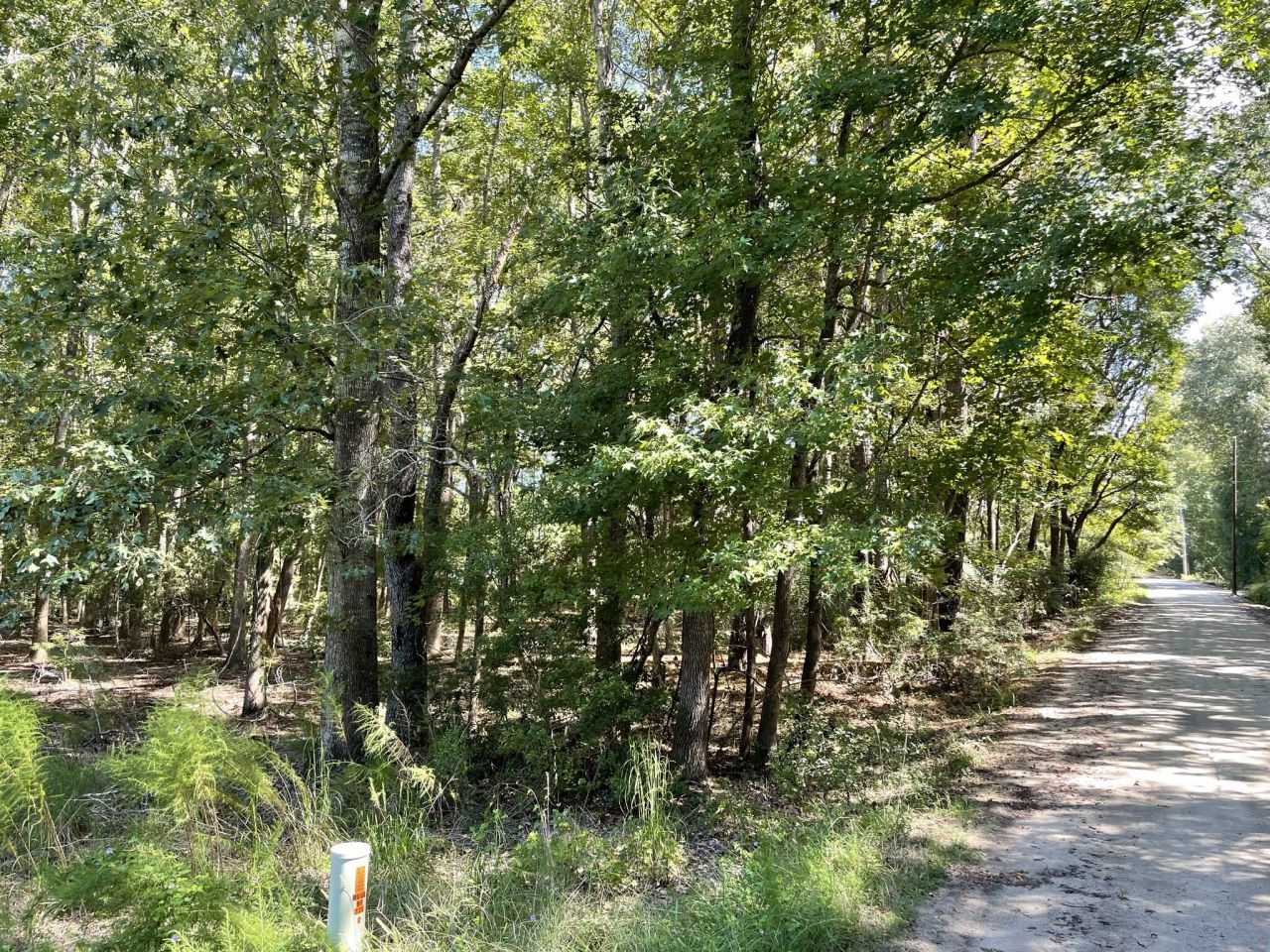 6444 St Anthony Drive Photo 17