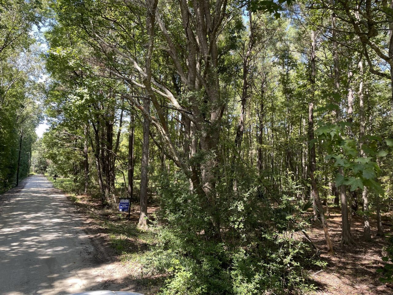 6444 St Anthony Drive Photo 19